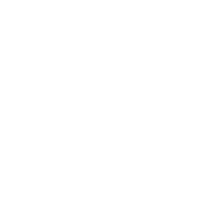 n-icon