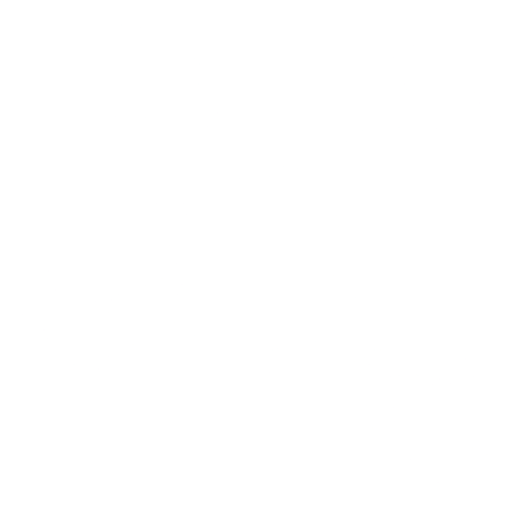 n-icon